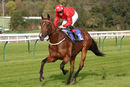 Race 3 - Ainsdale 30 Oct (11)