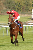 Race 3 - Ainsdale 30 Oct (3)