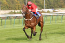 Race 3 - Ainsdale 30 Oct (6)