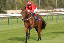 Race 3 - Ainsdale 30 Oct (7)