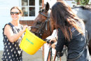 Race 3 - Alfies Angel (12)036