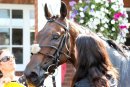 Race 3 - Alfies Angel (13)037