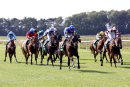 Race 3 - Alfies Angel (2)039