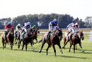 Race 3 - Alfies Angel (3)040