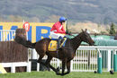 Race 3 - Allaho (5)
