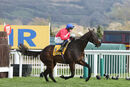 Race 3 - Allaho (6)
