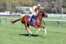 Race 3 - Alnadir (2)