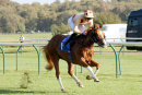 Race 3 - Alnadir (4)