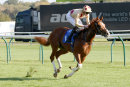 Race 3 - Alnadir (5)