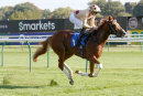 Race 3 - Alnadir (6)