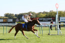 Race 3 - Alnadir (7)