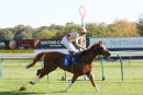 Race 3 - Alnadir (8)