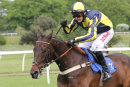 Market Rasen Races (21 May 17)