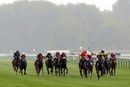 Race 3 - Amelia R (2)