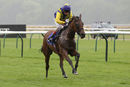Race 3 - Amelia R (4)