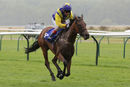 Race 3 - Amelia R (5)
