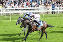Race 3 - Another Investment (3)