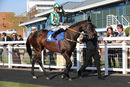 Race 3 - Arishka (3)