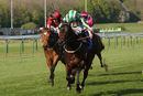 Race 3 - Arishka (7)