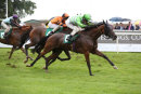 Race 3 - Arrowtown (12)