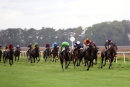 Race 3 - Arrowtown (7)
