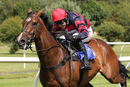 Race 3 - Article Fifty (10)