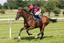 Race 3 - Article Fifty (11)