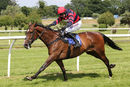 Race 3 - Article Fifty (12)