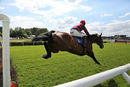Race 3 - Article Fifty (6)