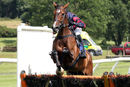 Race 3 - Article Fifty (7)