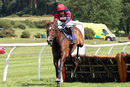 Race 3 - Article Fifty (9)