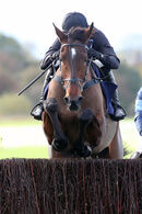 Race 3 - Ashtown Lad (2)