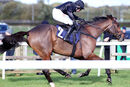Race 3 - Ashtown Lad (7)
