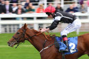 Race 3 - Awesome (7)