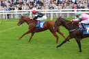 Race 3 - Awesome (9)