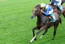Race 3 - Ballet Concerto (6)