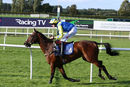 Race 3 - Ballycrystal Court (10)