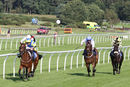 Race 3 - Ballycrystal Court (4)