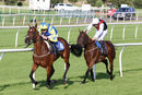 Race 3 - Ballycrystal Court (5)