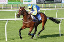 Race 3 - Ballycrystal Court (6)