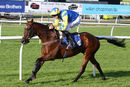 Race 3 - Ballycrystal Court (8)