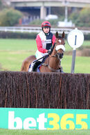 Race 3 - Barbados Bucks (2)