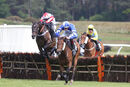 Race 3 - Bashful Boy (5)