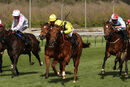 Race 3 - Batraan (4)