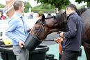 Race 3 - Battle Of Wills (10)