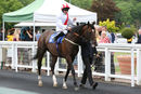 Race 3 - Battle Of Wills (2)