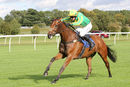 Race 3 - Beautiful Ben (10)