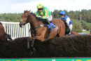 Race 3 - Beautiful Ben (3)