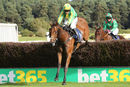 Race 3 - Beautiful Ben (5)