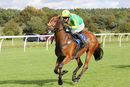 Race 3 - Beautiful Ben (9)
